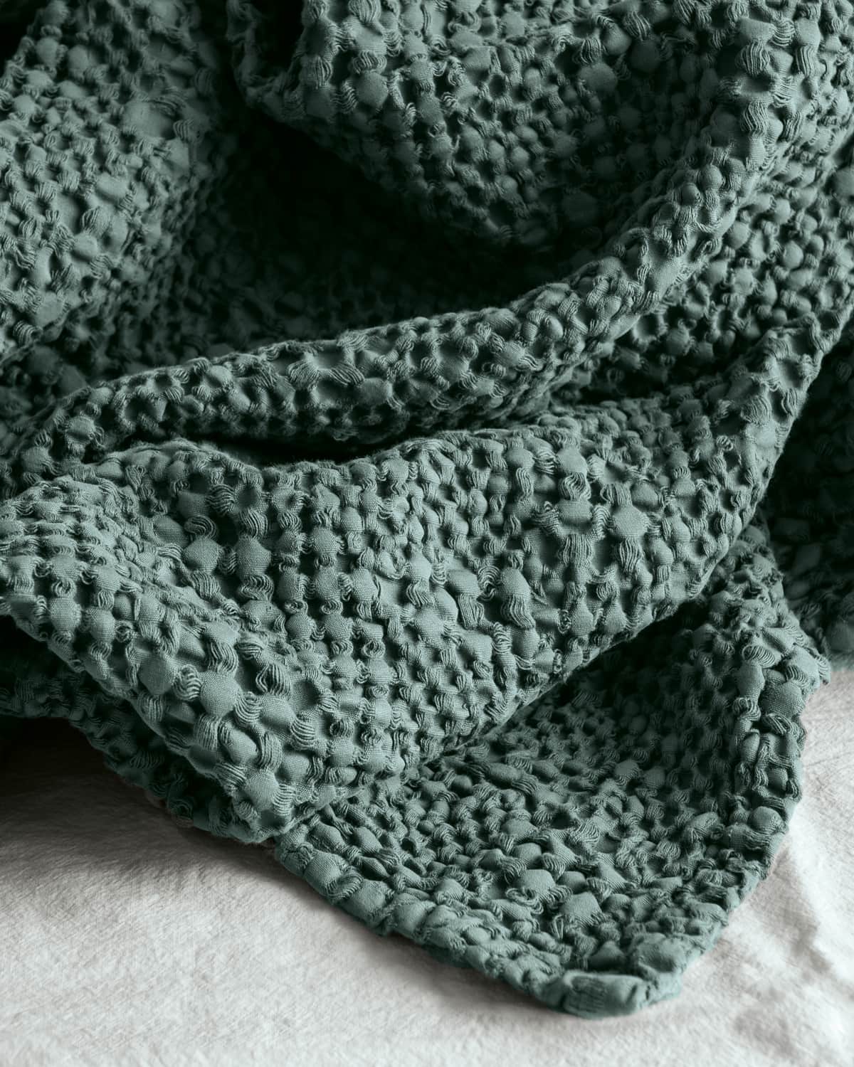 Bolzan-Shop-Tana-Prusse-07